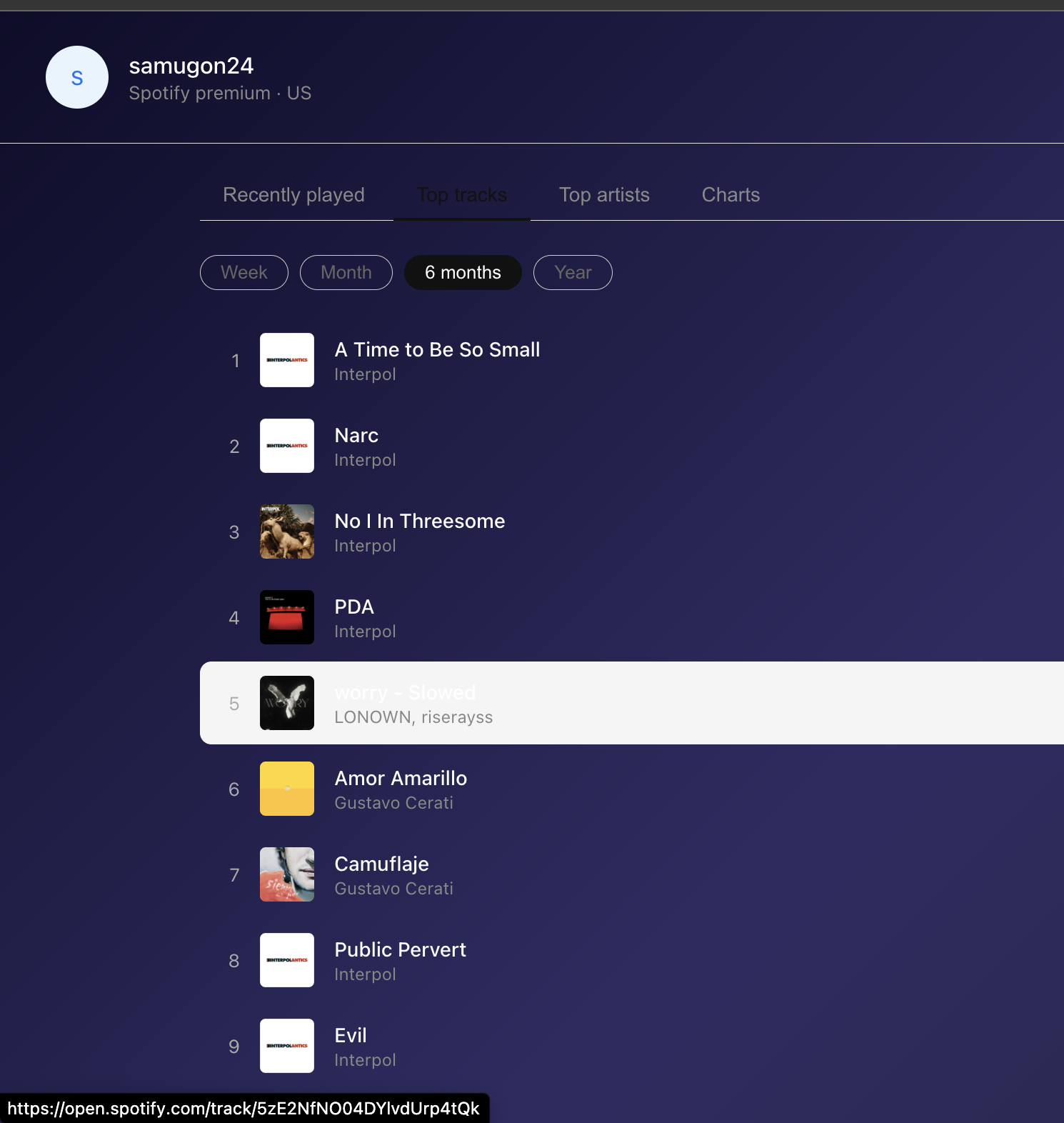 Spotify Stats Visualizer Screenshot